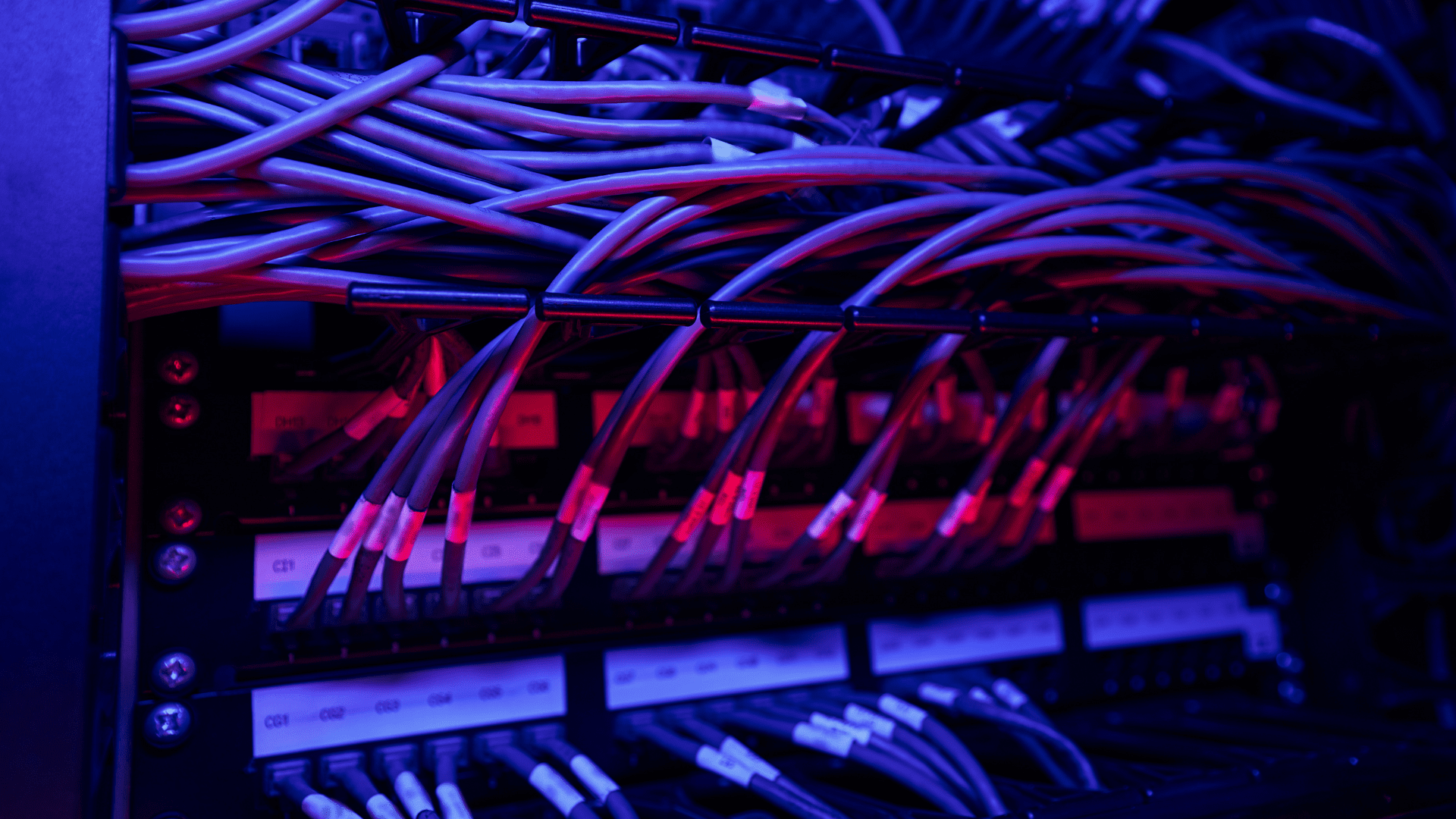 Server rack with connected cables